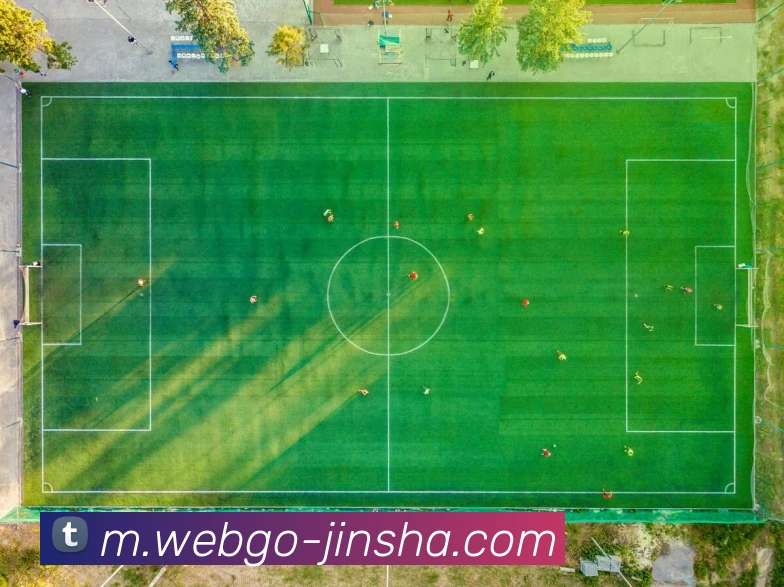 App Interface Preview